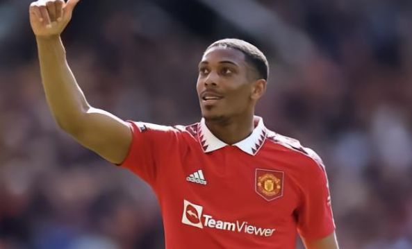 了范德法特 了范德法特